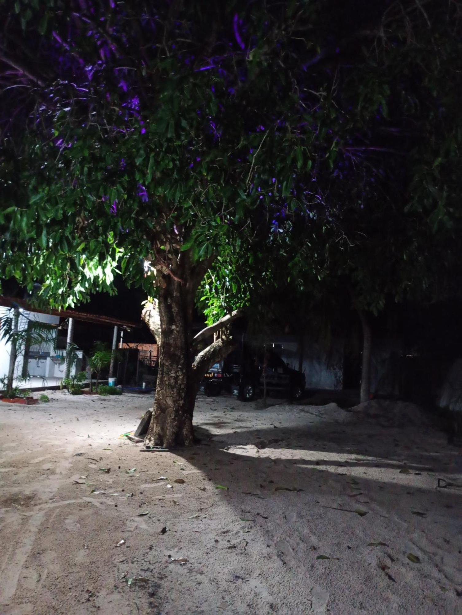 Hostel E Camping Na Rua Das Flores Santo Amaro do Maranhao Екстер'єр фото