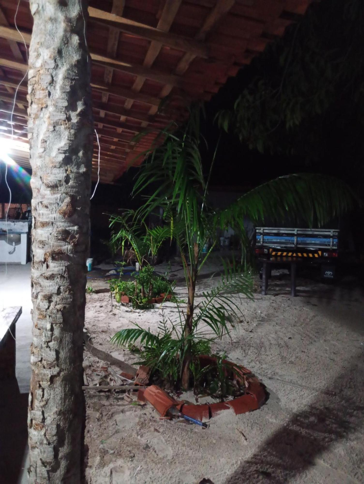 Hostel E Camping Na Rua Das Flores Santo Amaro do Maranhao Екстер'єр фото