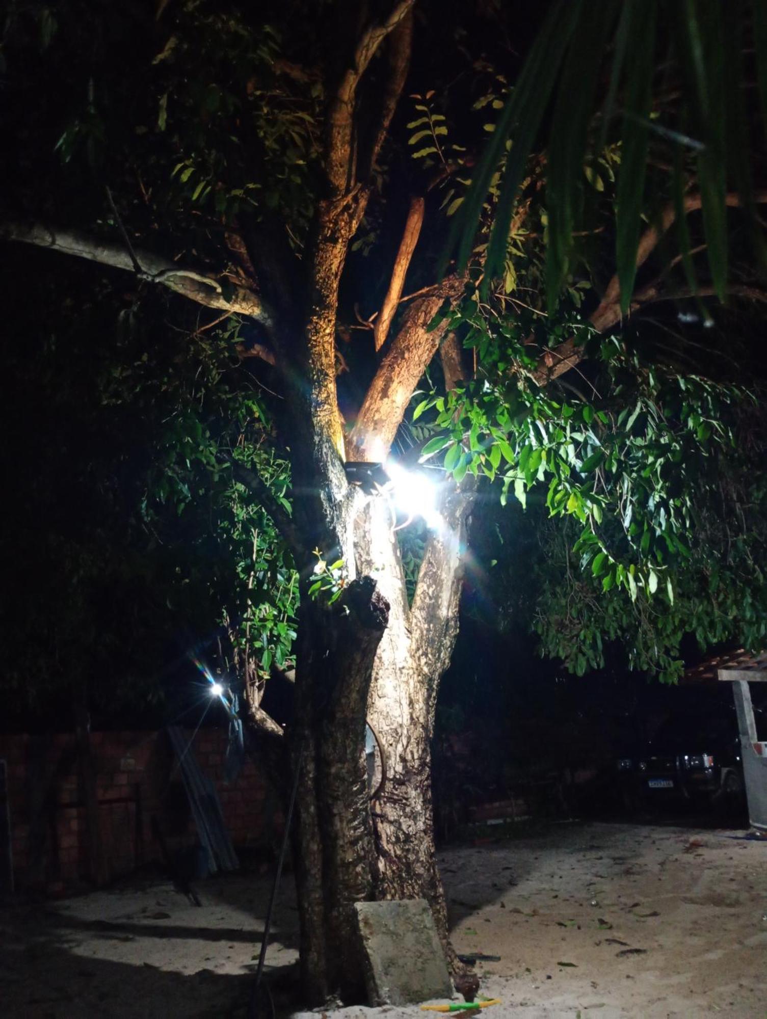 Hostel E Camping Na Rua Das Flores Santo Amaro do Maranhao Екстер'єр фото