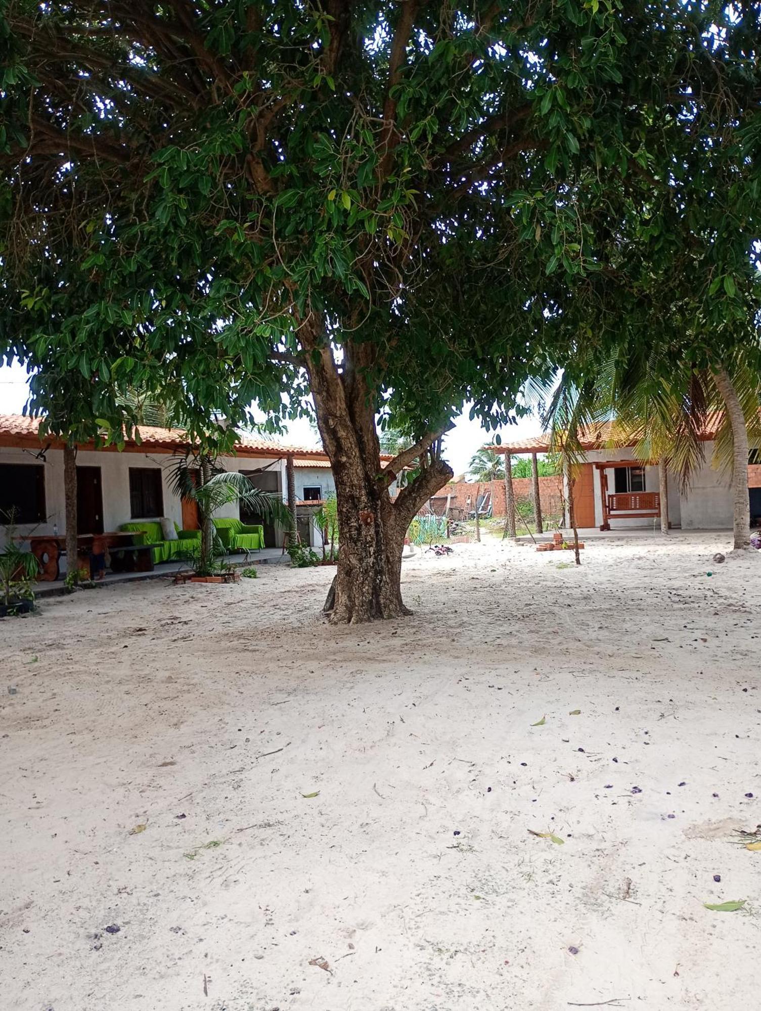 Hostel E Camping Na Rua Das Flores Santo Amaro do Maranhao Екстер'єр фото