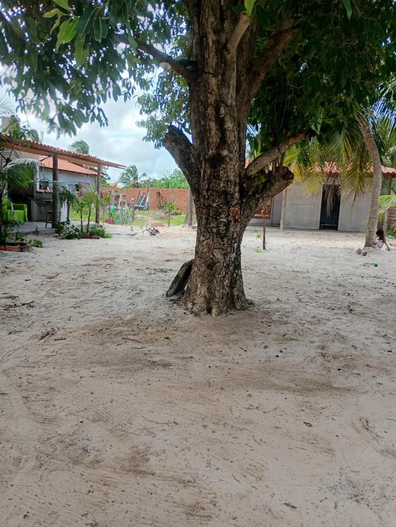Hostel E Camping Na Rua Das Flores Santo Amaro do Maranhao Екстер'єр фото